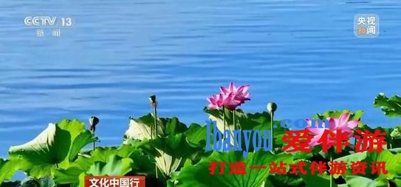 杭州雷阵雨随机“开盲盒” 这两天出门最好带伞